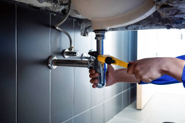 Best Residential Plumbing Services  in Frankfort, IL